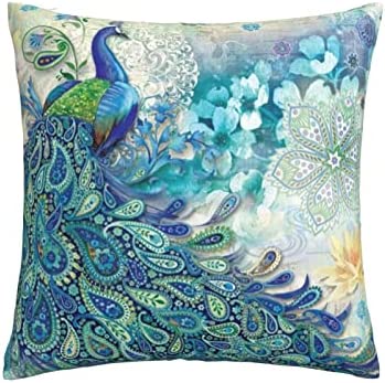 Hitamus Arrow Compass Decorative Throw Pillow Case Square Cushion Cover Soft Polyester Pillowcase for Sofa Couch Bed Home， 18x18 Inch