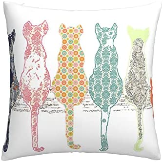 Hitamus Arrow Compass Decorative Throw Pillow Case Square Cushion Cover Soft Polyester Pillowcase for Sofa Couch Bed Home， 18x18 Inch