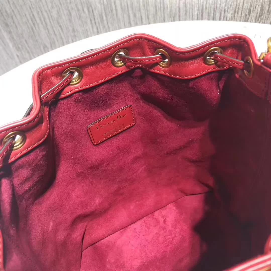【原版皮】迪奥/Dior 水桶包，选用柔软羊皮裁制而成，全新包型，火遍时尚圈的复古潮流感，款号：M1693