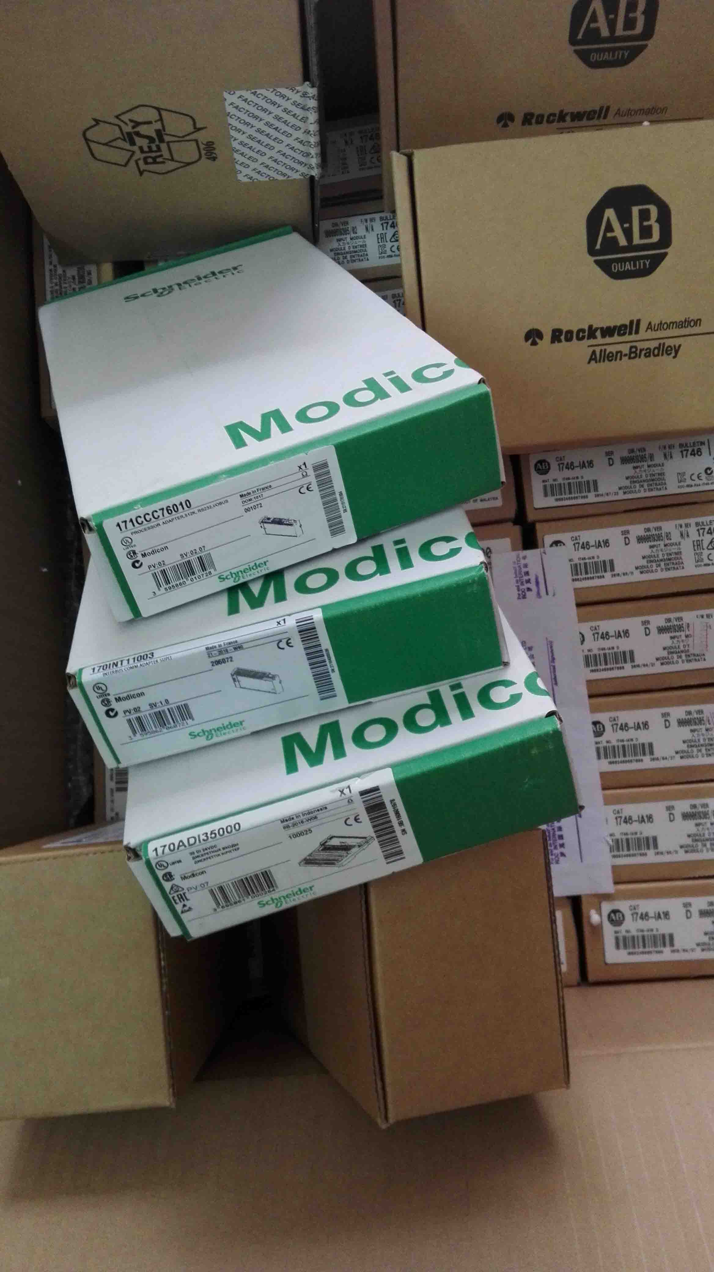 171CCC76010 Schneider Modicon Momentum Brandy Original Factory Sealed New