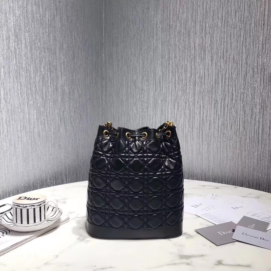 【原版皮】迪奥/Dior 水桶包，选用柔软羊皮裁制而成，全新包型，火遍时尚圈的复古潮流感，款号：M1693