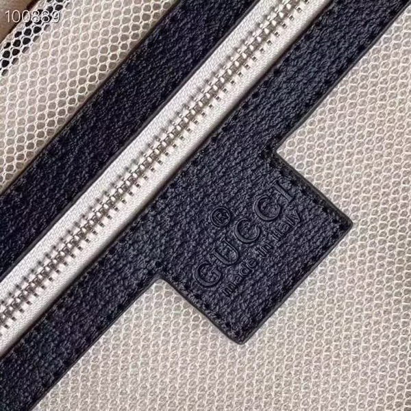 古驰/Gucci 旅行箱，釆用先进聚碳纤维工艺，高档大气的LOGO，独特设计理念，趣味横生，时尚潮流，复古风格与完美工艺，二者结合