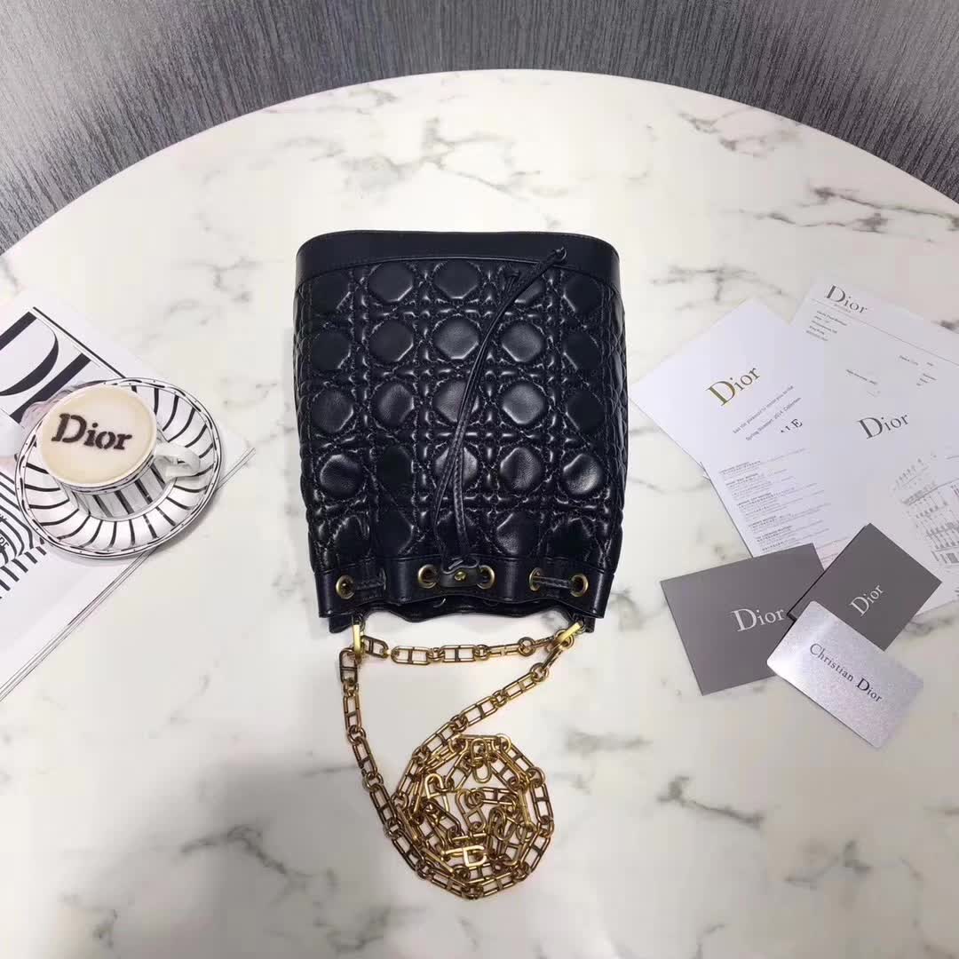 【原版皮】迪奥/Dior 水桶包，选用柔软羊皮裁制而成，全新包型，火遍时尚圈的复古潮流感，款号：M1693