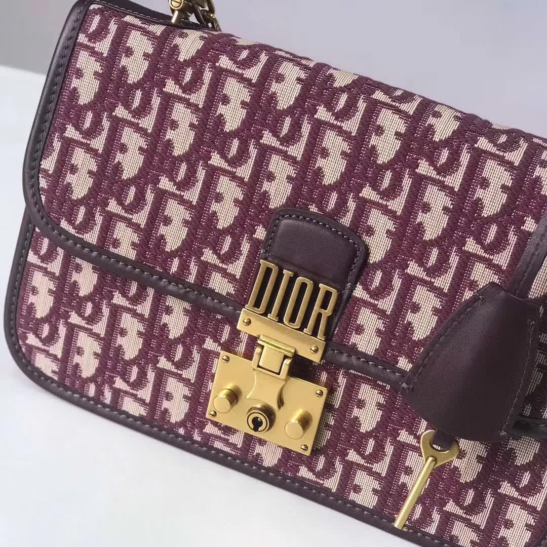【原版皮】迪奥/Dior 链条包，选用Oblique提花帆布搭配同色系牛皮皮革裁制而成，饰以不规则珠片，很有年代感，搭配链条肩带，真是perfect